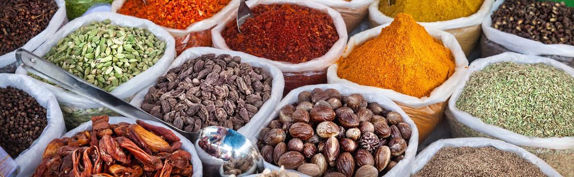 Empfehlungen für den Aufbau einer indischen Verbraucherschutzbehörde in der Finanzindustrie