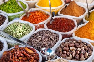 Recommendation for the development of an Indian National Consumer Protection Agency